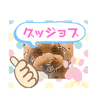 トイプードルプリンスタンプ3（個別スタンプ：29）