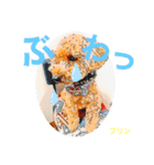 トイプードルプリンスタンプ3（個別スタンプ：36）