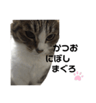 キジ白さんの日常2（個別スタンプ：22）