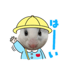 タラちゃんの日常（個別スタンプ：1）