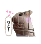 タラちゃんの日常（個別スタンプ：3）
