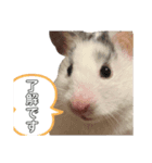 タラちゃんの日常（個別スタンプ：4）