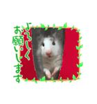 タラちゃんの日常（個別スタンプ：5）