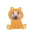 タラちゃんの日常（個別スタンプ：6）