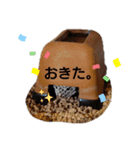 ゆうたといろいろ。改（個別スタンプ：7）