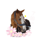 ゆうたといろいろ。改（個別スタンプ：13）