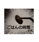 ゆうたといろいろ。改（個別スタンプ：15）