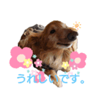 ゆうたといろいろ。改（個別スタンプ：16）