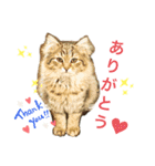 ぷーっ。ちゃん（個別スタンプ：6）