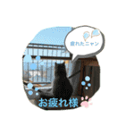 ぷーっ。ちゃん（個別スタンプ：7）