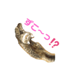 ぷーっ。ちゃん（個別スタンプ：13）