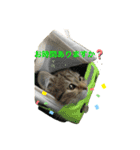 ぷーっ。ちゃん（個別スタンプ：16）
