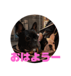 梅子と桜木（個別スタンプ：1）
