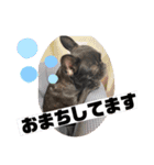 梅子と桜木（個別スタンプ：13）