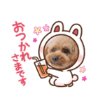 トイプー結愛の昼間（個別スタンプ：3）