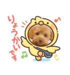 トイプー結愛の昼間（個別スタンプ：9）