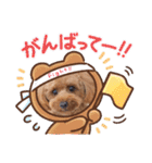 トイプー結愛の昼間（個別スタンプ：14）