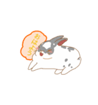うさちゃんスタンプっ（個別スタンプ：1）