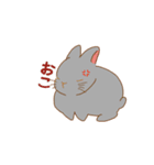 うさちゃんスタンプっ（個別スタンプ：4）