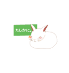 うさちゃんスタンプっ（個別スタンプ：6）