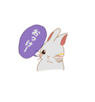 うさちゃんスタンプっ（個別スタンプ：7）