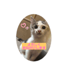 Key＆Ray 2（個別スタンプ：3）