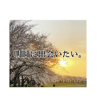 あたたかポエムLINEスタンプ（個別スタンプ：16）