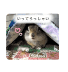リチャードソンジリス ムク vol.03（個別スタンプ：29）