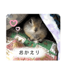 リチャードソンジリス ムク vol.03（個別スタンプ：30）