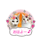 クッキーファミリーの初めてのスタンプ（個別スタンプ：1）