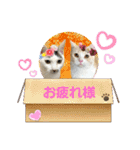 クッキーファミリーの初めてのスタンプ（個別スタンプ：8）