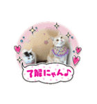 クッキーファミリーの初めてのスタンプ（個別スタンプ：9）
