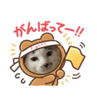 クッキーファミリーの初めてのスタンプ（個別スタンプ：10）
