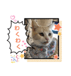 クッキーファミリーの初めてのスタンプ（個別スタンプ：12）