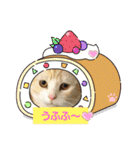 クッキーファミリーの初めてのスタンプ（個別スタンプ：20）