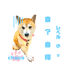 四字熟語のお勉強 レベル  小 ⅴ（個別スタンプ：2）