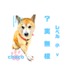 四字熟語のお勉強 レベル  小 ⅴ（個別スタンプ：3）