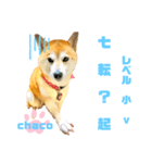 四字熟語のお勉強 レベル  小 ⅴ（個別スタンプ：5）