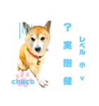 四字熟語のお勉強 レベル  小 ⅴ（個別スタンプ：7）