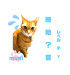 四字熟語のお勉強 レベル  小 ⅴ（個別スタンプ：13）