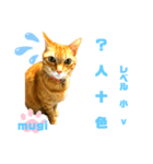 四字熟語のお勉強 レベル  小 ⅴ（個別スタンプ：15）