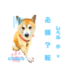 四字熟語のお勉強 レベル  小 ⅴ（個別スタンプ：21）