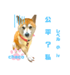 四字熟語のお勉強 レベル  小 ⅳ（個別スタンプ：17）