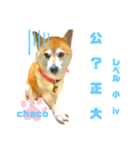 四字熟語のお勉強 レベル  小 ⅳ（個別スタンプ：18）