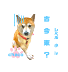 四字熟語のお勉強 レベル  小 ⅳ（個別スタンプ：20）