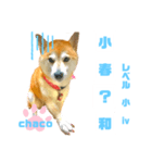 四字熟語のお勉強 レベル  小 ⅳ（個別スタンプ：21）
