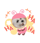 愛しののあ2（個別スタンプ：2）