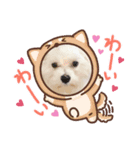 愛しののあ2（個別スタンプ：4）
