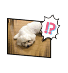 愛しののあ2（個別スタンプ：8）