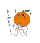 橙(だいだい)くん（個別スタンプ：3）